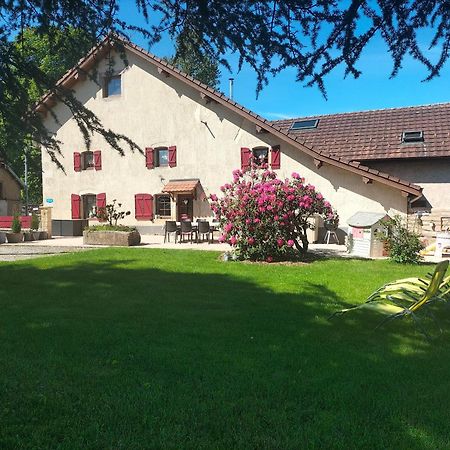 Gite Belle Fleur 6 Personnes- Vosges Saint-Nabord Екстериор снимка