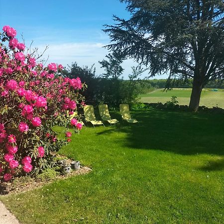 Gite Belle Fleur 6 Personnes- Vosges Saint-Nabord Екстериор снимка