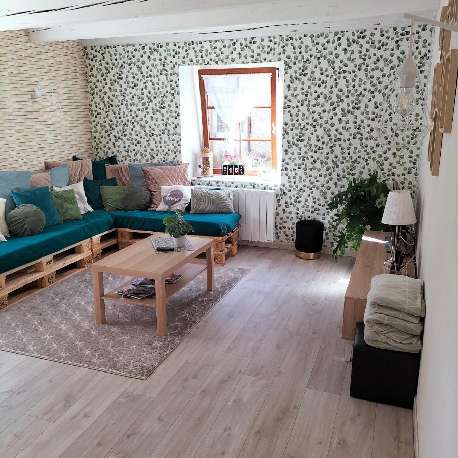 Gite Belle Fleur 6 Personnes- Vosges Saint-Nabord Екстериор снимка