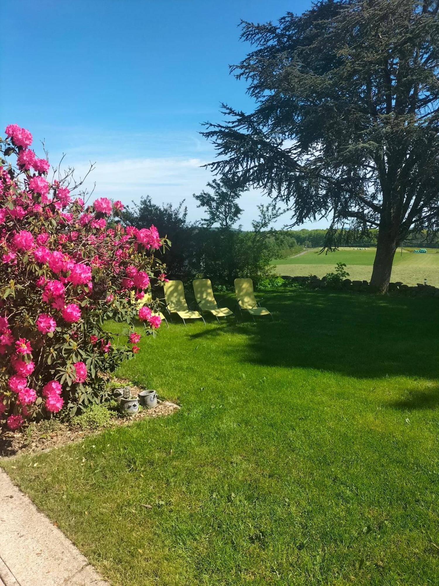 Gite Belle Fleur 6 Personnes- Vosges Saint-Nabord Екстериор снимка